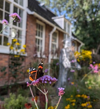 St Anthony's Hall Gardens | York Conservation Trust | butterflies